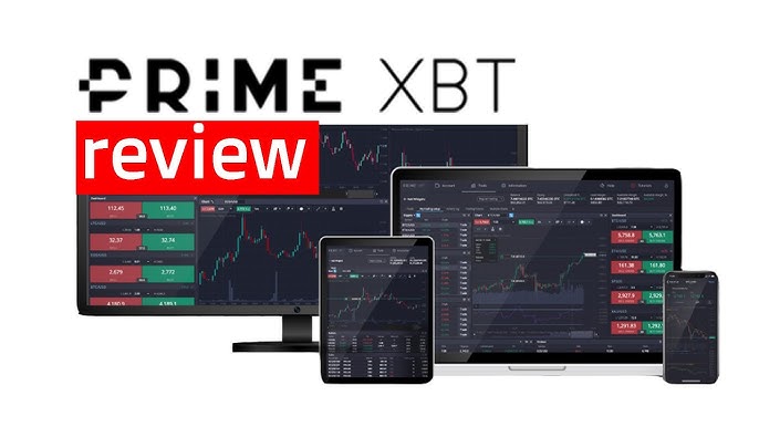 Exploring the Dynamics of Team PrimeXBT in the Cryptocurrency Trading Landscape