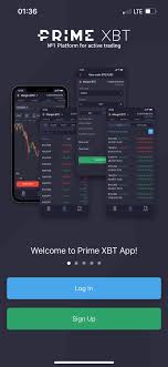 Exploring the Dynamics of Team PrimeXBT in the Cryptocurrency Trading Landscape