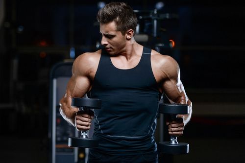 YK11 Biaxol Supplements Kurs: Umfassender Leitfaden für Einsteiger und Fortgeschrittene