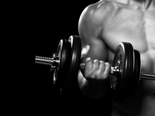 Testosteron Propionat kurs