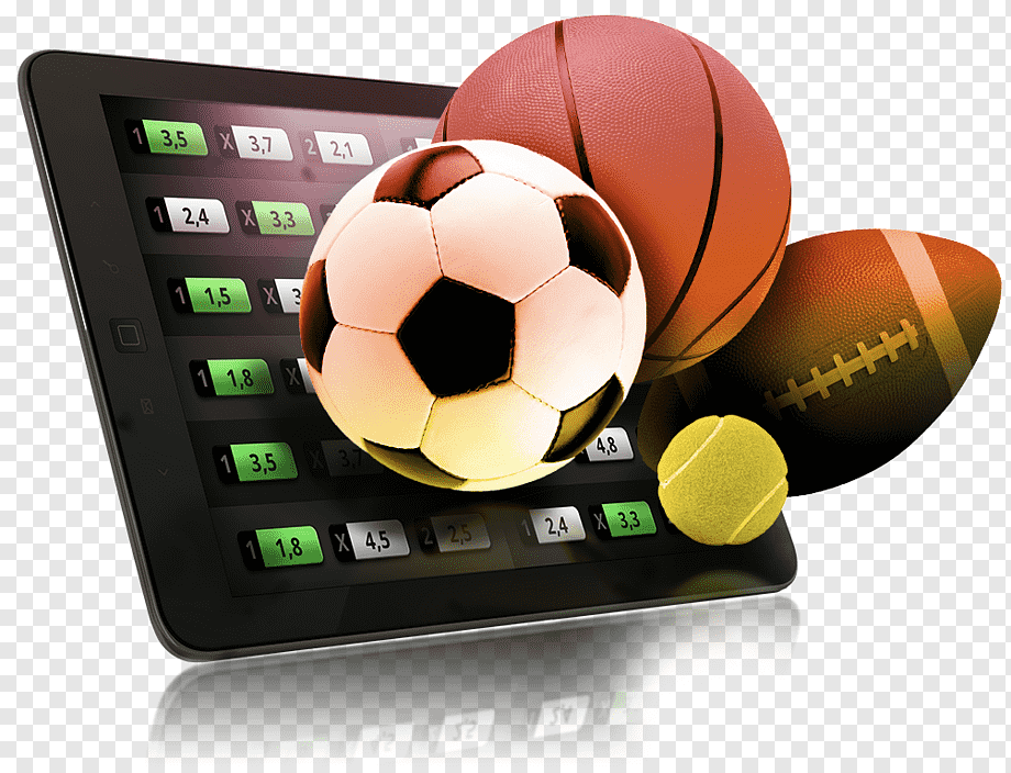 Discover the Top Bookmakers with Best Margins